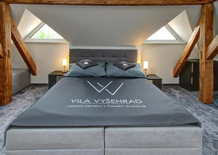 Vysehrad Guest house 4*